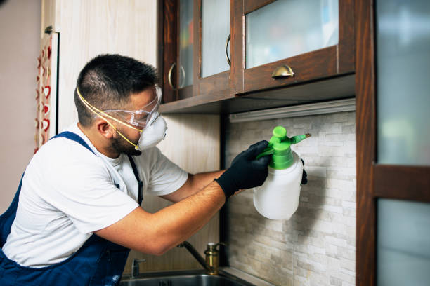 Pest Control Cost in Florin, CA