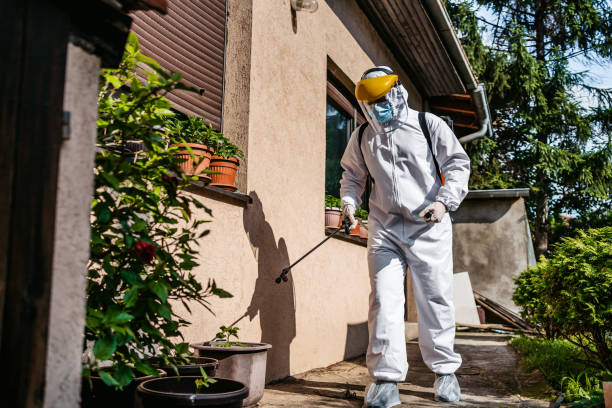Best Termite Control Services  in Florin, CA