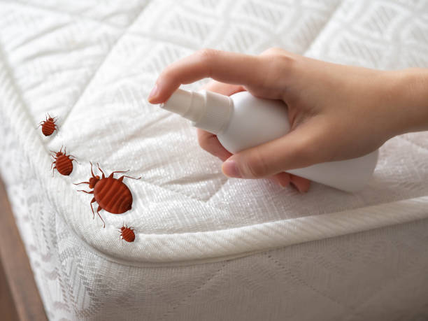 Best Commercial Pest Control Services  in Florin, CA