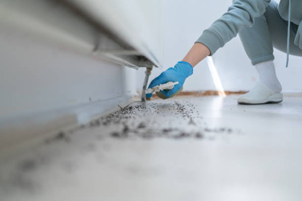 Best Pest Prevention Services  in Florin, CA